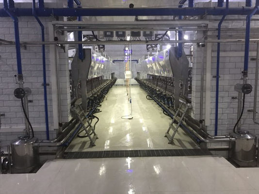 Elektroniczna metrologia w jodełkę Automatyczna maszyna do dojenia krów
