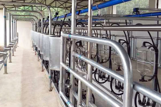 typu jodełka 5T / h 20 jednostek Hala udojowa Automatyczna hala udojowa o niskim poziomie hałasu