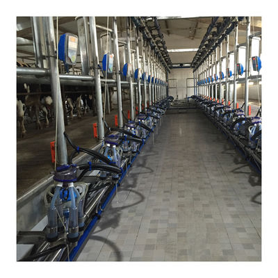 Odkurzacz roboczy 50KPa 2,2kW Maszyna do dojenia w jodełkę na farmę mleczną