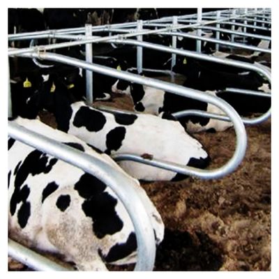 Wysokość 95 cm Odporna na rdzę stodoła wolnostojąca na farmę mleczną
