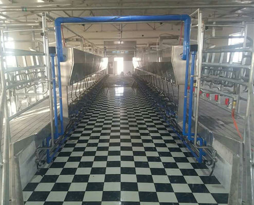 11kW Próżniowe systemy dojenia równoległego 3800L 128 krów na godzinę