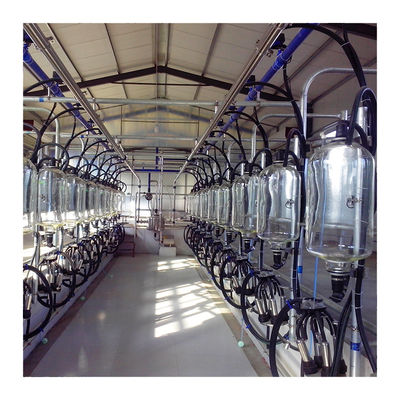 Elektroniczna hala udojowa dla kóz 2300 l / min typu kości rybnej
