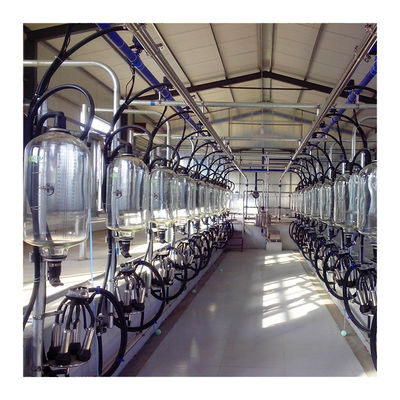 Elektroniczna hala udojowa dla kóz 2300 l / min typu kości rybnej