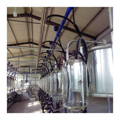 Elektroniczna hala udojowa dla kóz 2300 l / min typu kości rybnej