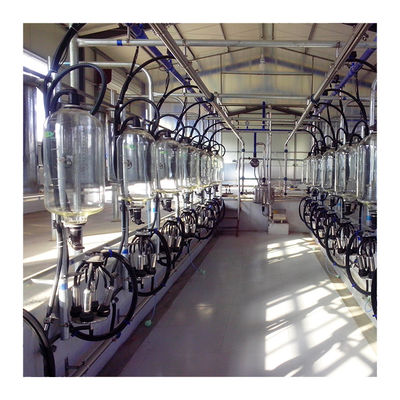 Elektroniczna hala udojowa dla kóz 2300 l / min typu kości rybnej