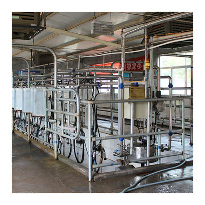 Dairy Farm Hala udojowa w jodełkę 4KW ze szkłem spożywczym