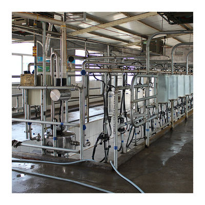 Dairy Farm Hala udojowa w jodełkę 4KW ze szkłem spożywczym