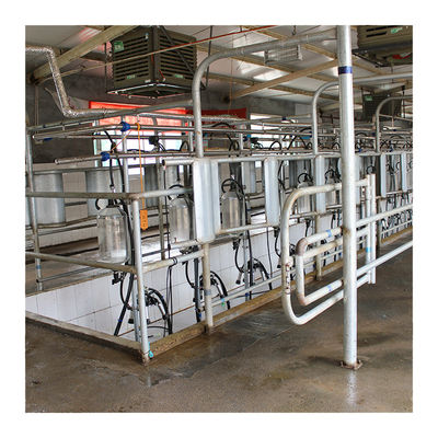 Dairy Farm Hala udojowa w jodełkę 4KW ze szkłem spożywczym