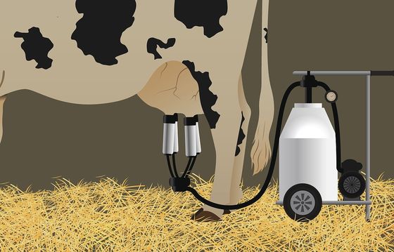 Silnik wysokoprężny Mobilna krowa Przenośna maszyna do dojenia Elektryczna pompa próżniowa dla kozy