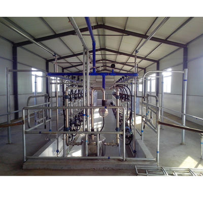 SS304 Herringbone Parlor Milking Systems Sprzęt dla krów mlecznych