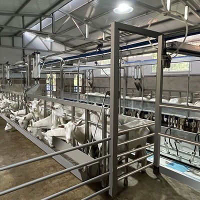 Farms Mleczarnia Wysoka wydajność Wyposażenie hali udojowej Elastyczna hala udojowa kóz
