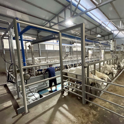 SUS304 Goat Herringbone Dojarnia Karmienie Koryto typu szybkiego wyjścia Rurociąg