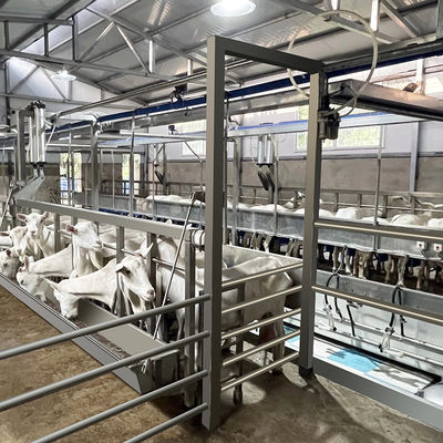 SUS304 Goat Herringbone Dojarnia Karmienie Koryto typu szybkiego wyjścia Rurociąg