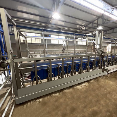 SUS304 Goat Herringbone Dojarnia Karmienie Koryto typu szybkiego wyjścia Rurociąg