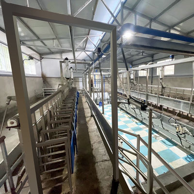 SUS304 Goat Herringbone Dojarnia Karmienie Koryto typu szybkiego wyjścia Rurociąg