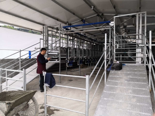 Maszyny do dojenia kóz w gospodarstwie mlecznym System udoju ze stali nierdzewnej